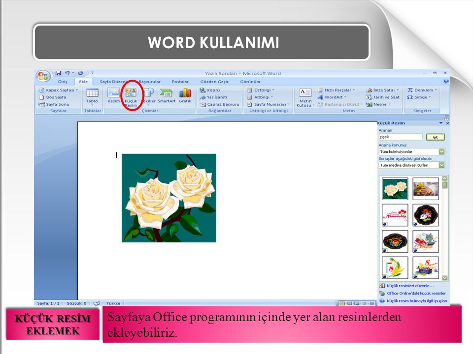 WORD KULLANIMI Sayfaya Office programının içinde yer alan resimlerden ekleyebiliriz.