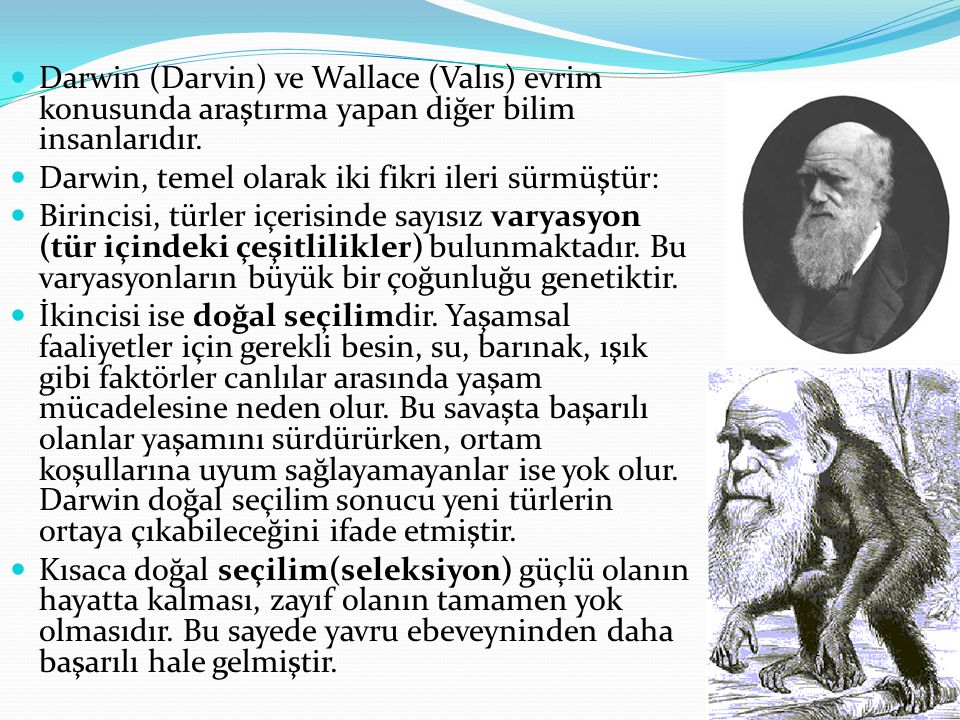 Darwin (Darvin) ve Wallace (Valıs) evrim konusunda araştırma yapan diğer bilim insanlarıdır.