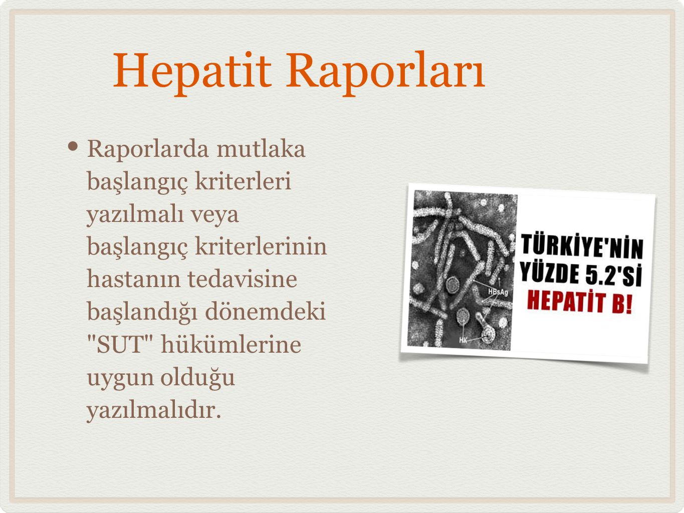 Hepatit Raporları