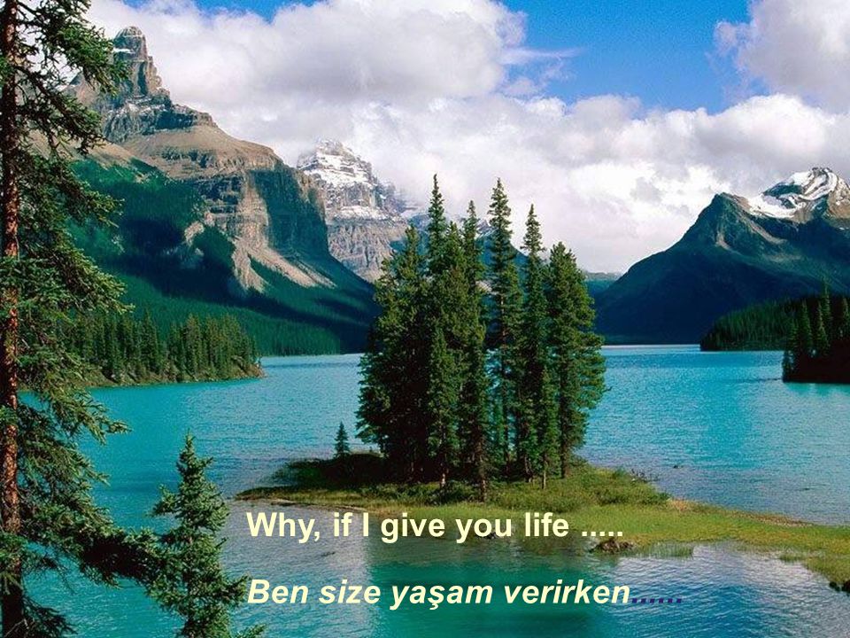 Why, if I give you life Ben size yaşam verirken......
