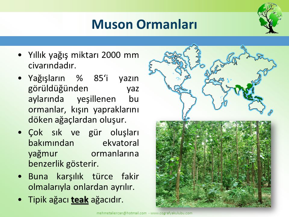 Muson Ormanları Yıllık yağış miktarı 2000 mm civarındadır.