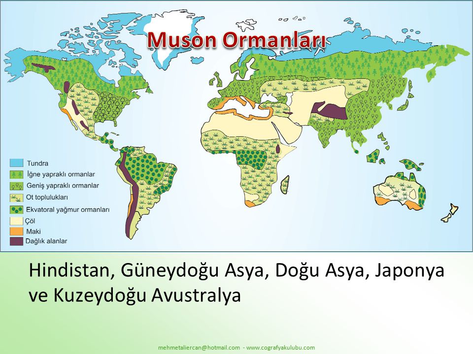 Muson Ormanları Hindistan, Güneydoğu Asya, Doğu Asya, Japonya ve Kuzeydoğu Avustralya