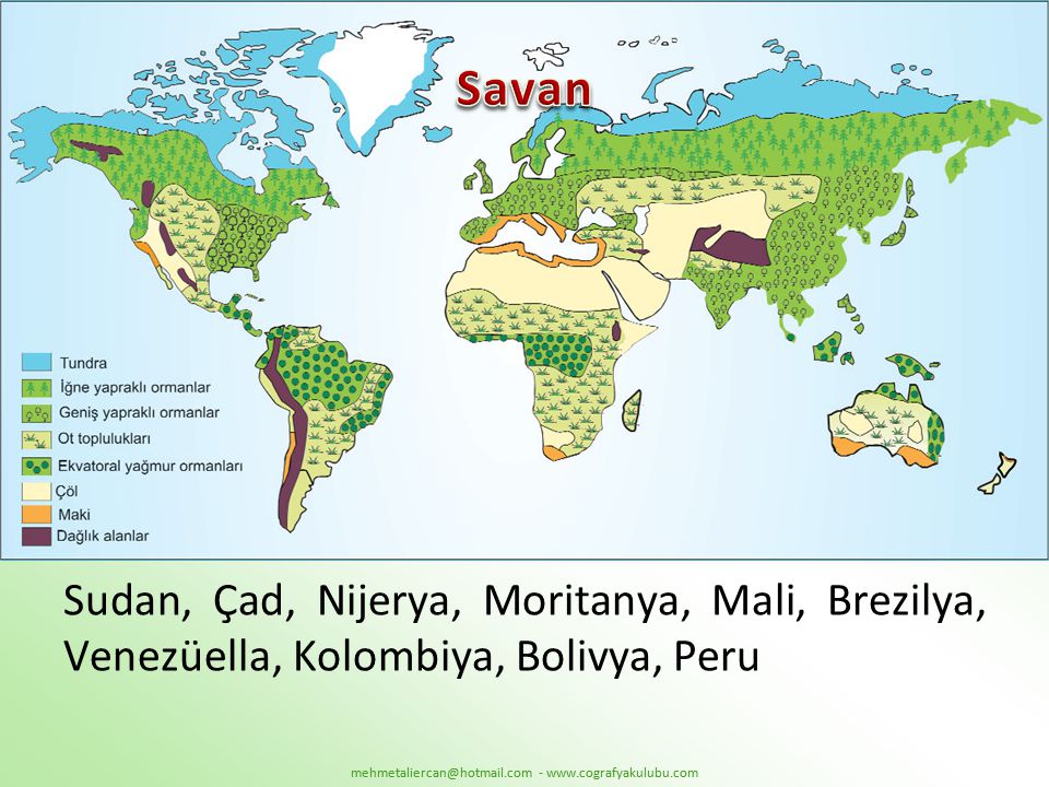 Savan Sudan, Çad, Nijerya, Moritanya, Mali, Brezilya, Venezüella, Kolombiya, Bolivya, Peru
