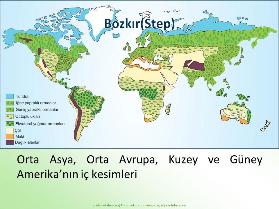 Bozkır(Step) Orta Asya, Orta Avrupa, Kuzey ve Güney Amerika’nın iç kesimleri