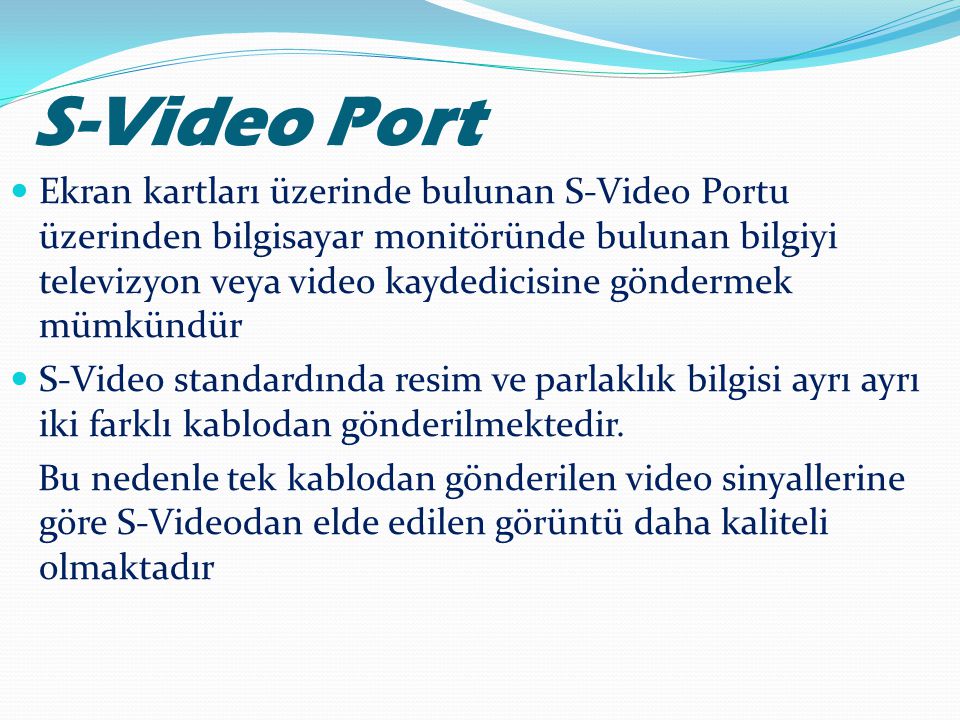 S-Video Port