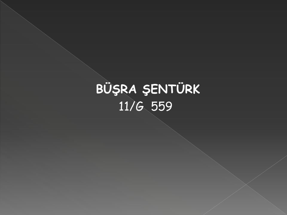BÜŞRA ŞENTÜRK 11/G 559