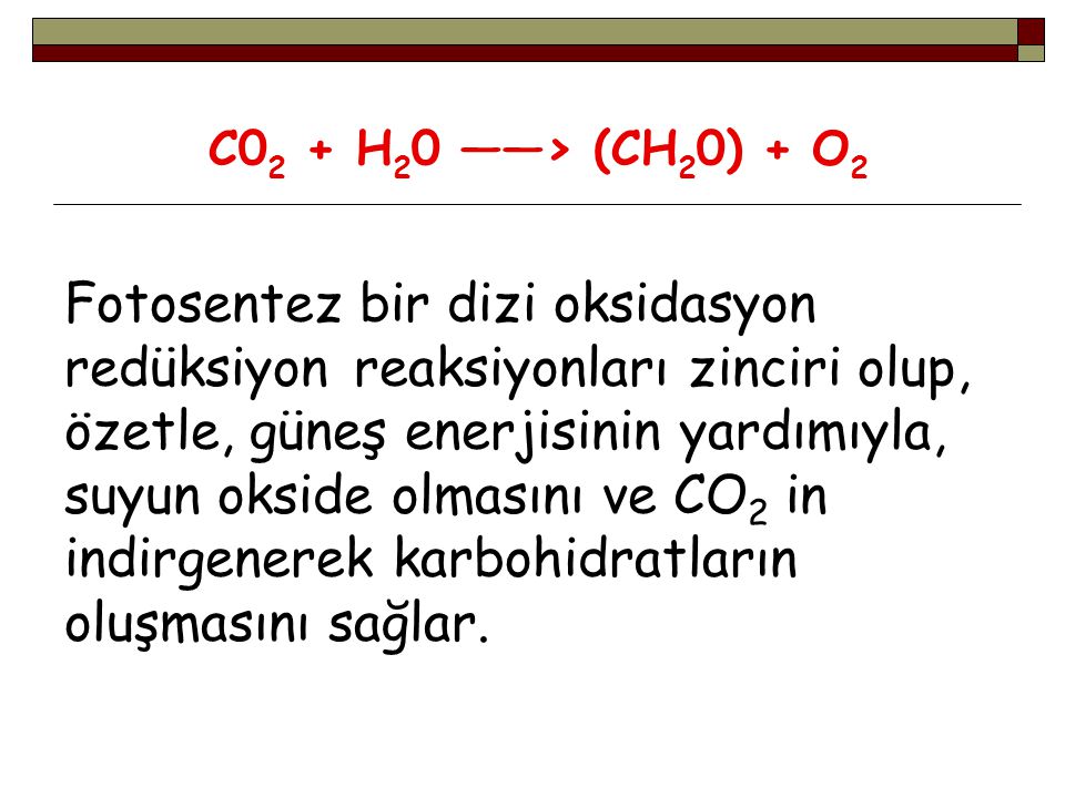 C02 + H20 ——> (CH20) + O2 Fotosentez bir dizi oksidasyon redüksiyon reaksiyonları zinciri olup, özetle, güneş enerjisinin yardımıyla, suyun okside olmasını ve CO2 in indirgenerek karbohidratların oluşmasını sağlar.