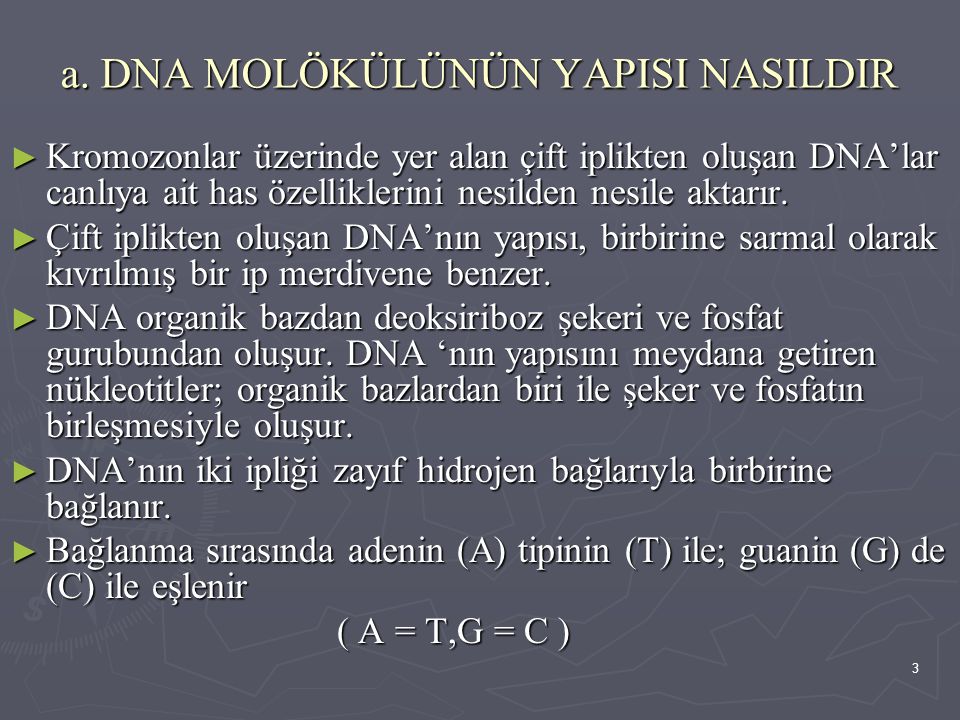 a. DNA MOLÖKÜLÜNÜN YAPISI NASILDIR