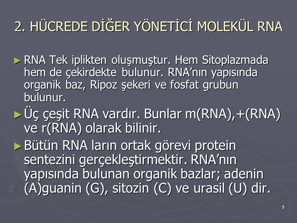 2. HÜCREDE DİĞER YÖNETİCİ MOLEKÜL RNA