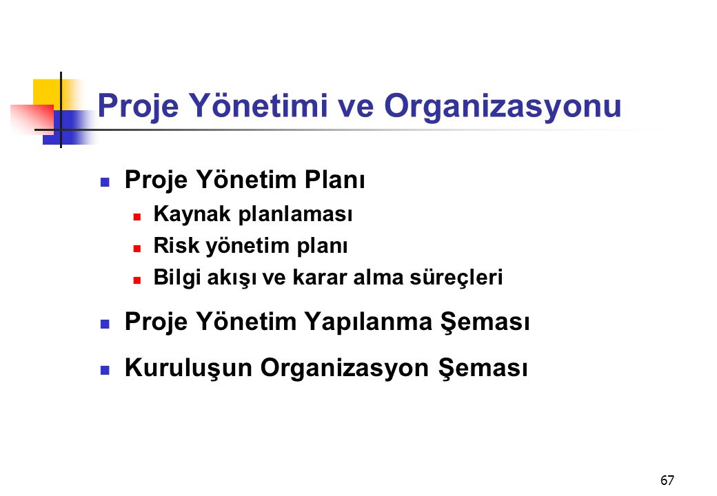 Proje Yönetimi ve Organizasyonu