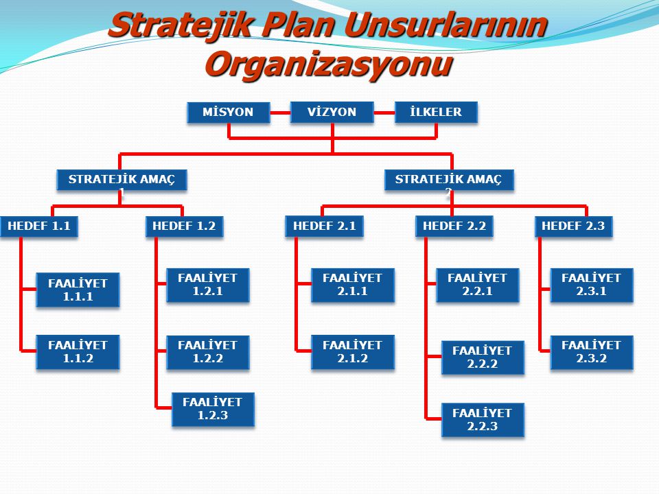Stratejik Plan Unsurlarının Organizasyonu