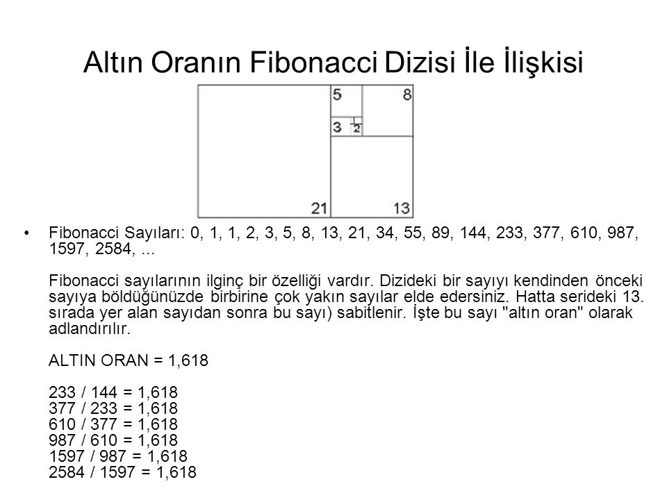 Altın Oranın Fibonacci Dizisi İle İlişkisi