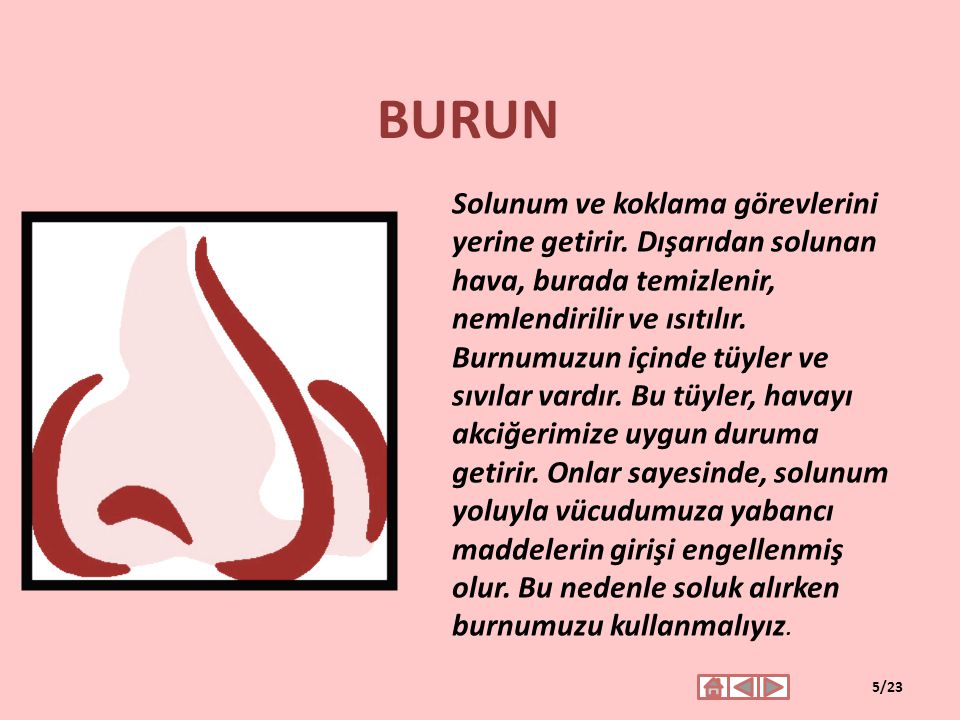 BURUN