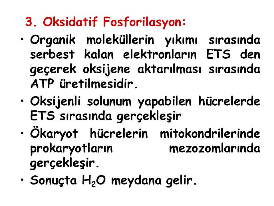 3. Oksidatif Fosforilasyon: