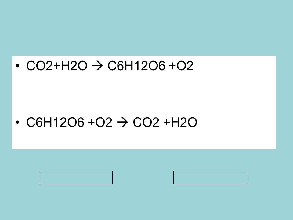 CO2+H2O  C6H12O6 +O2 C6H12O6 +O2  CO2 +H2O Anabolizma Katabolizma