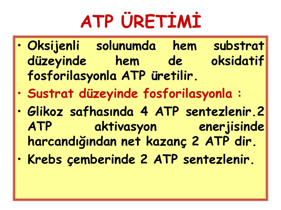 ATP ÜRETİMİ Oksijenli solunumda hem substrat düzeyinde hem de oksidatif fosforilasyonla ATP üretilir.