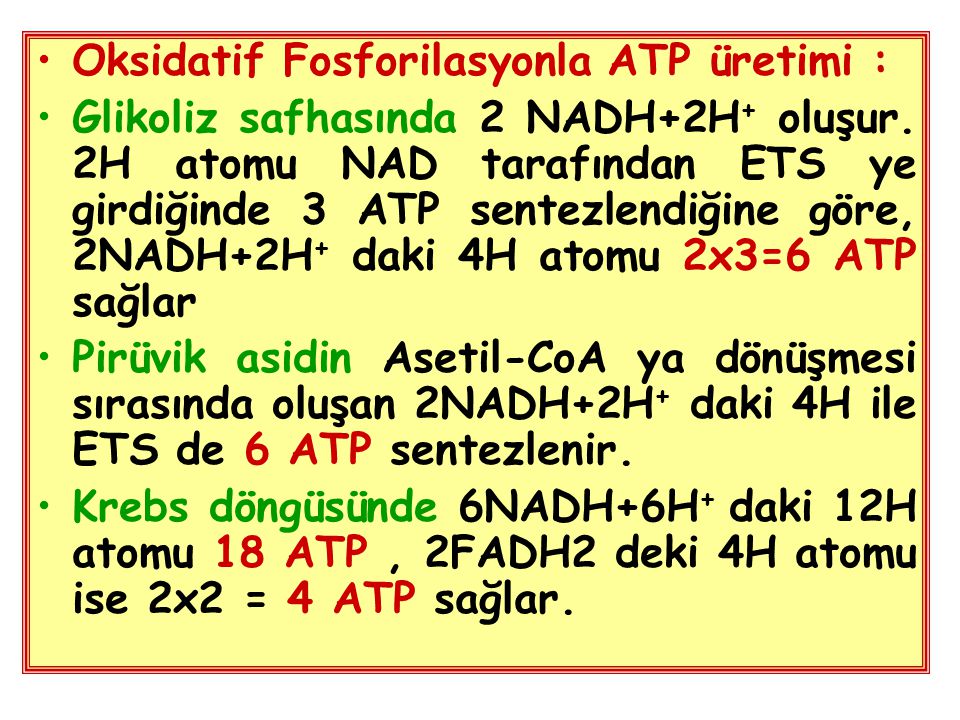Oksidatif Fosforilasyonla ATP üretimi :