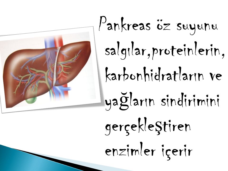 Pankreas öz suyunu salgılar,proteinlerin, karbonhidratların ve yağların sindirimini gerçekleştiren enzimler içerir