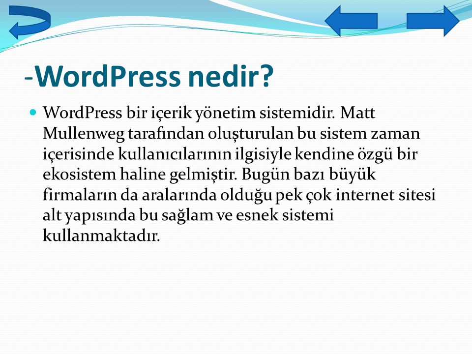 -WordPress nedir
