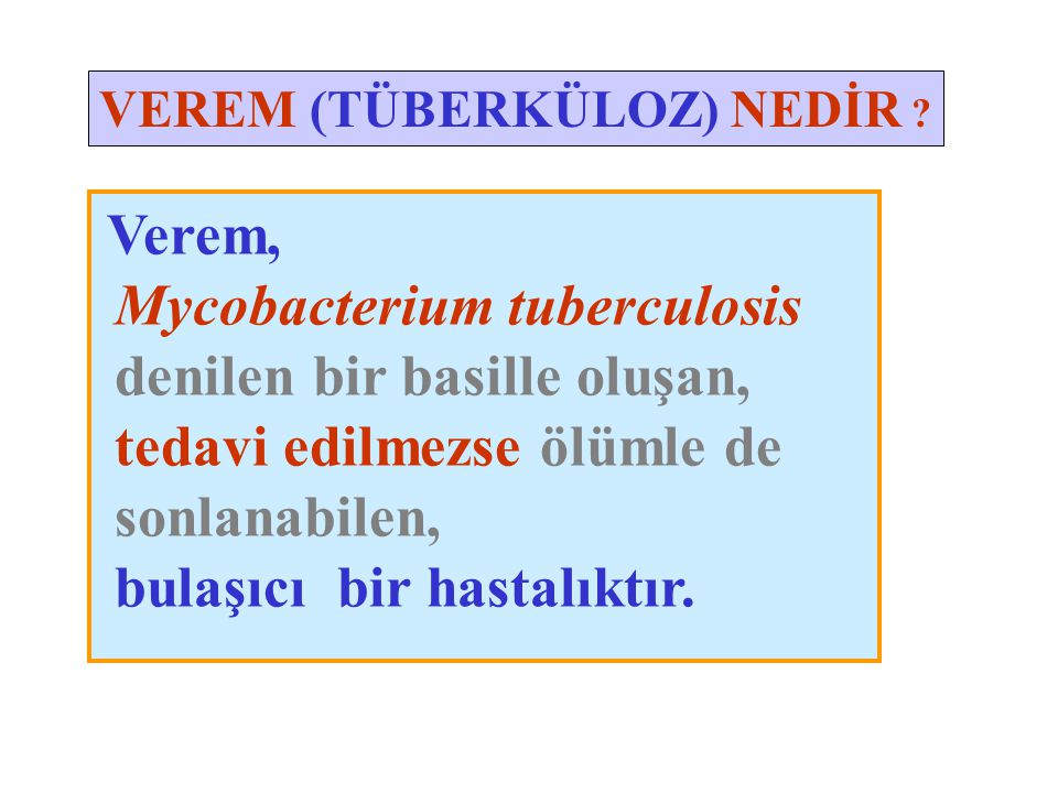 Mycobacterium tuberculosis denilen bir basille oluşan,