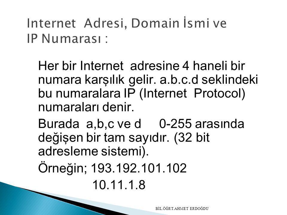 Internet Adresi, Domain İsmi ve IP Numarası :