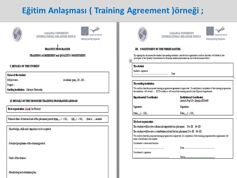 Eğitim Anlaşması ( Training Agreement )örneği ;