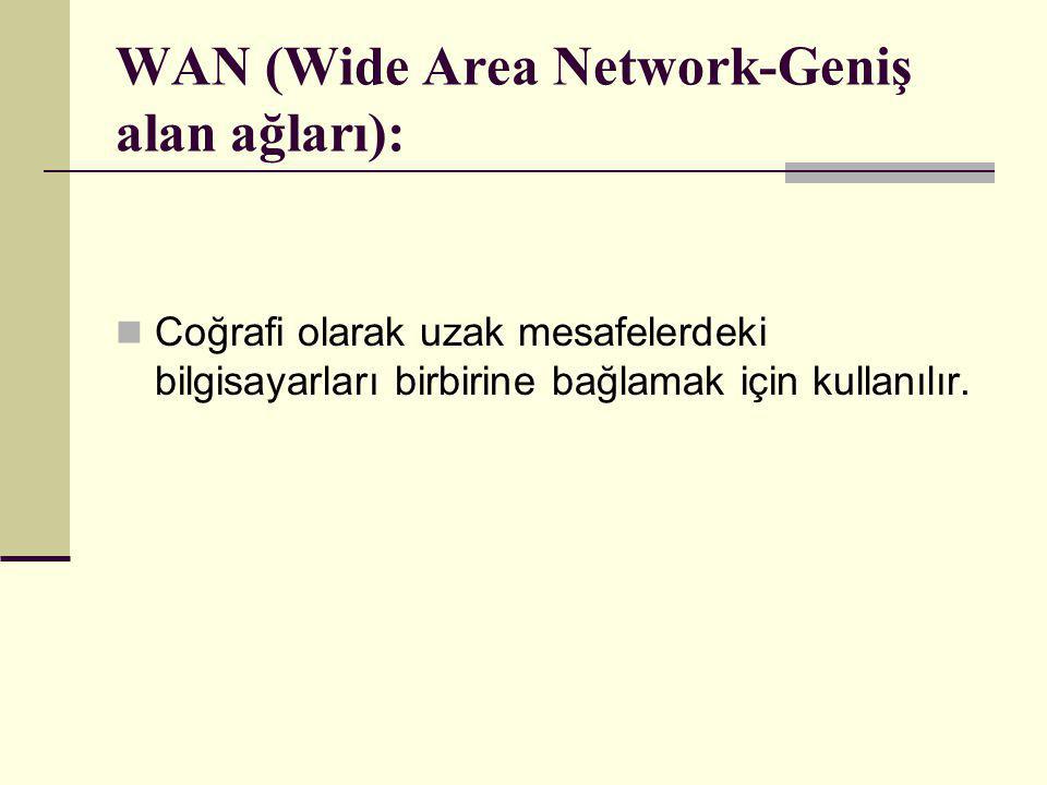 WAN (Wide Area Network-Geniş alan ağları):