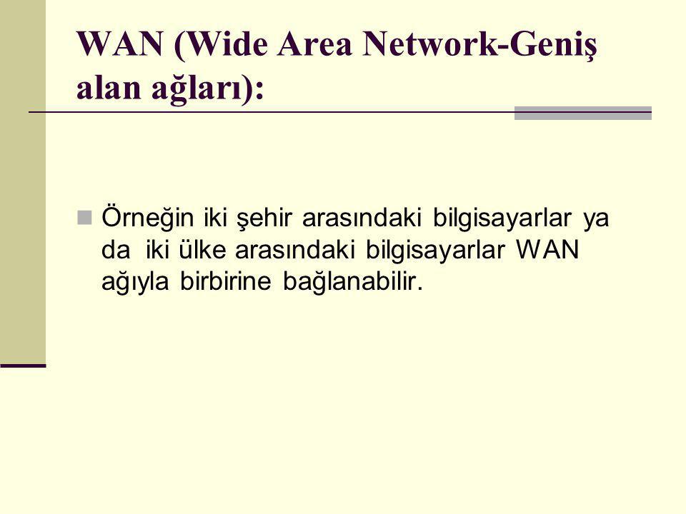 WAN (Wide Area Network-Geniş alan ağları):