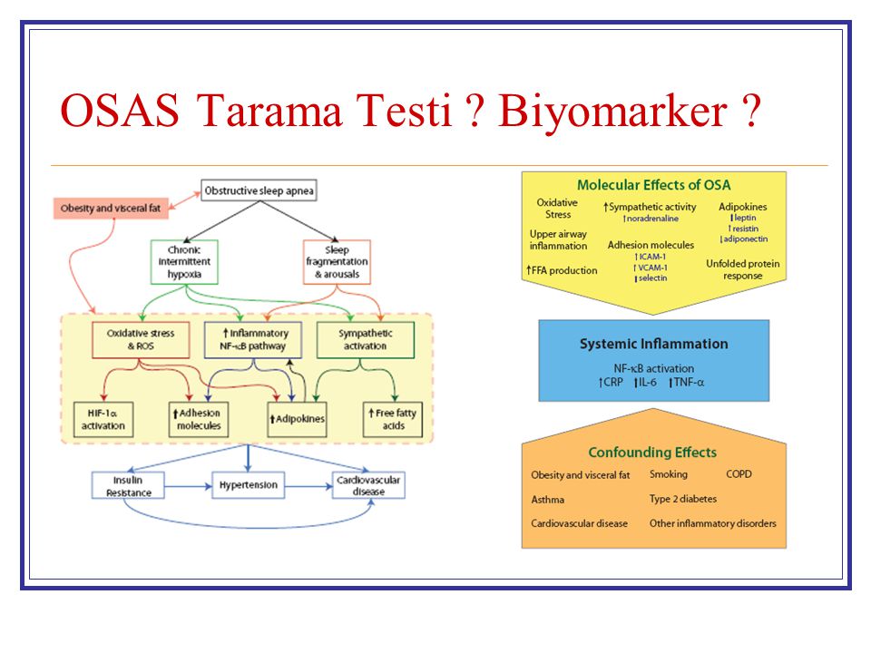 OSAS Tarama Testi Biyomarker