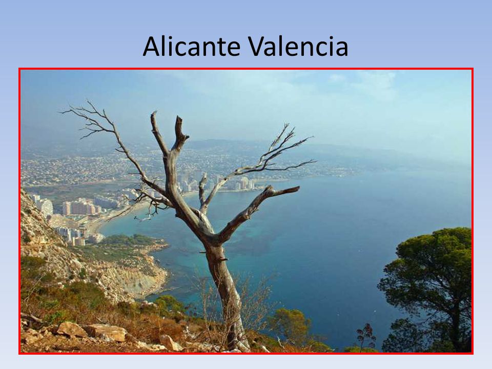 Alicante Valencia