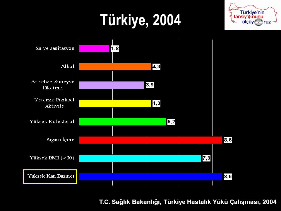 Türkiye, 2004 T.C. Sağlık Bakanlığı, Türkiye Hastalık Yükü Çalışması, 2004