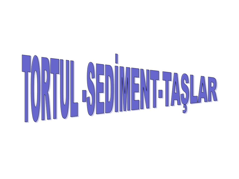 TORTUL -SEDİMENT-TAŞLAR