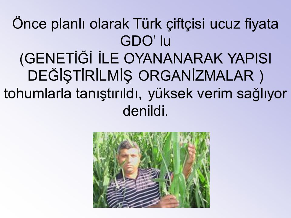 Önce planlı olarak Türk çiftçisi ucuz fiyata GDO’ lu