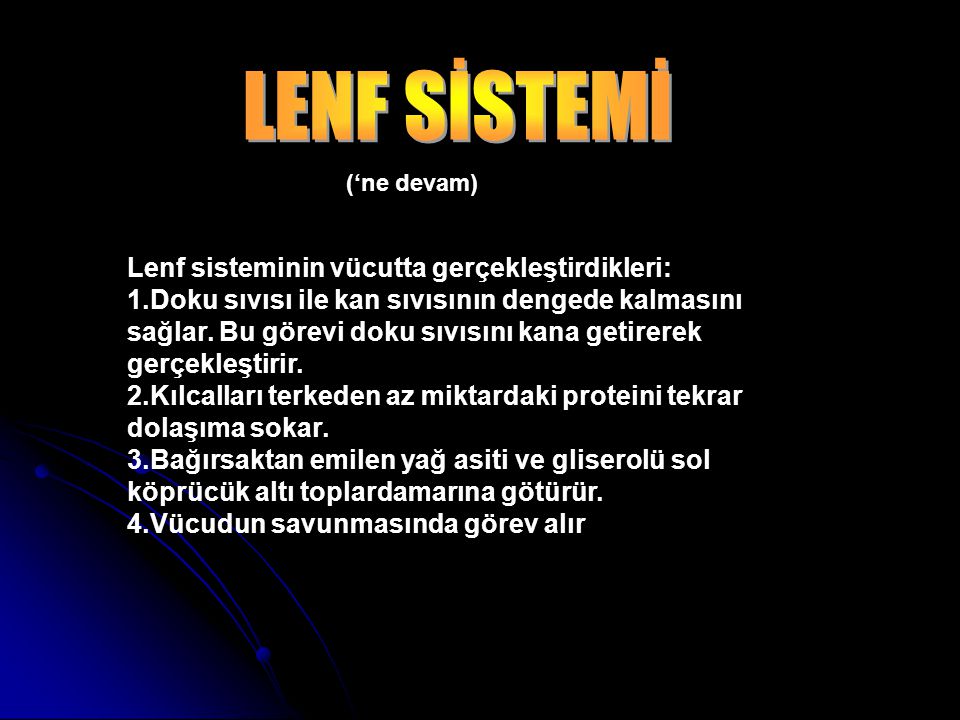 LENF SİSTEMİ Lenf sisteminin vücutta gerçekleştirdikleri: