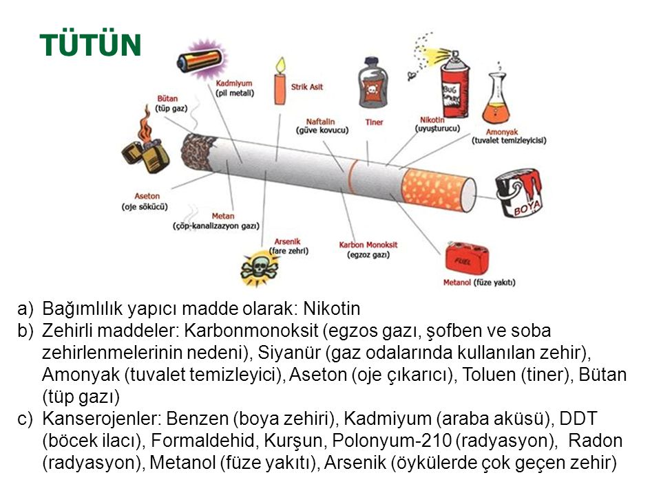 Никотин телеграмм. Фрукты и овощи в котором есть никотин. Строение сигарса. Morterh никотин. Ne курениte.