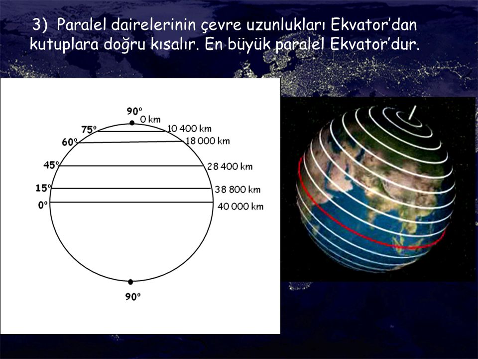 3) Paralel dairelerinin çevre uzunlukları Ekvator’dan kutuplara doğru kısalır.