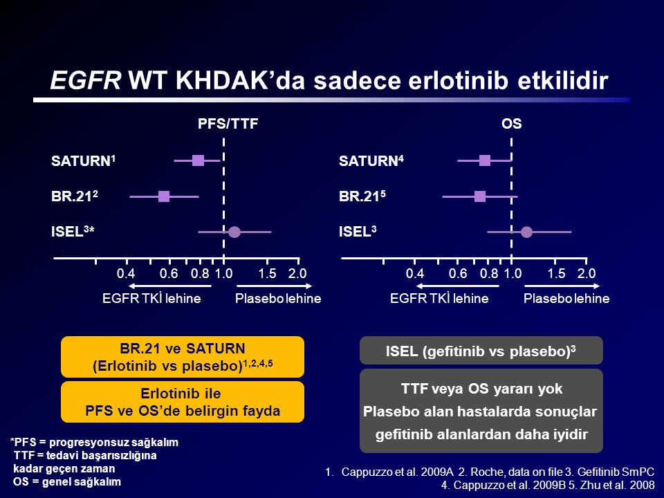 EGFR WT KHDAK’da sadece erlotinib etkilidir
