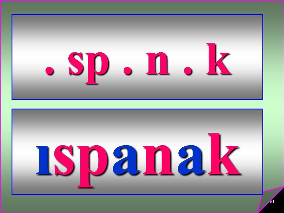 . sp . n . k ıspanak