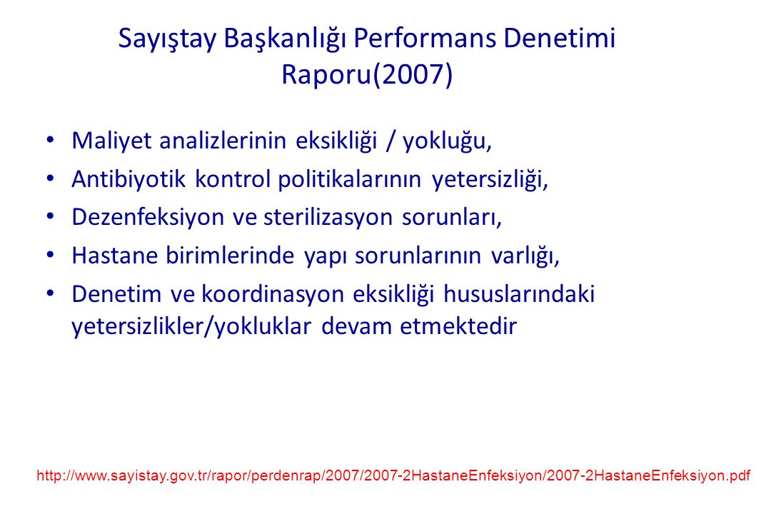 Sayıştay Başkanlığı Performans Denetimi Raporu(2007)