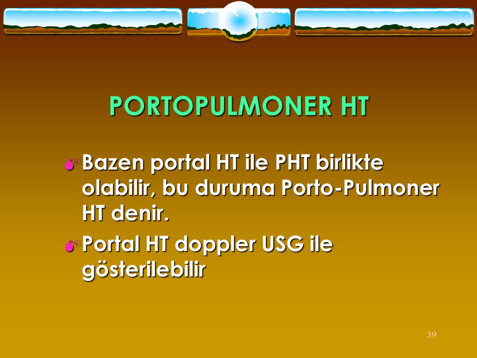 PORTOPULMONER HT Bazen portal HT ile PHT birlikte olabilir, bu duruma Porto-Pulmoner HT denir.