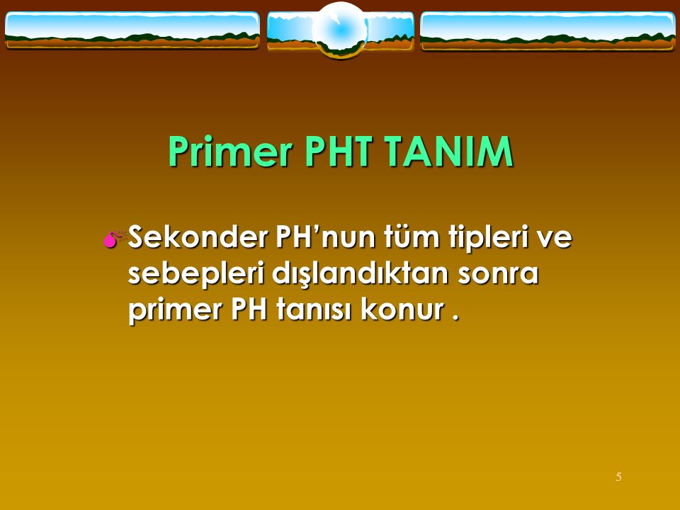 Primer PHT TANIM Sekonder PH’nun tüm tipleri ve sebepleri dışlandıktan sonra primer PH tanısı konur .