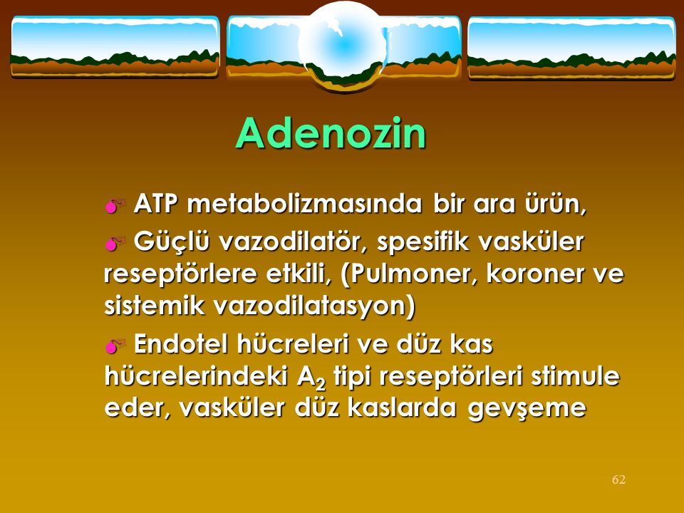 Adenozin ATP metabolizmasında bir ara ürün,