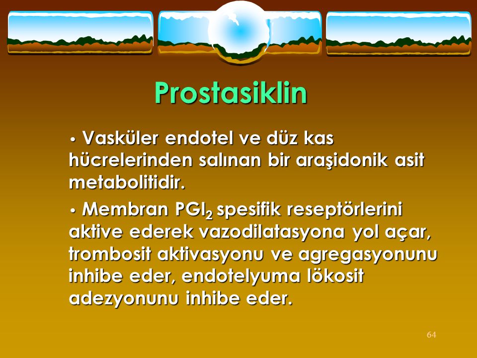Prostasiklin Vasküler endotel ve düz kas hücrelerinden salınan bir araşidonik asit metabolitidir.