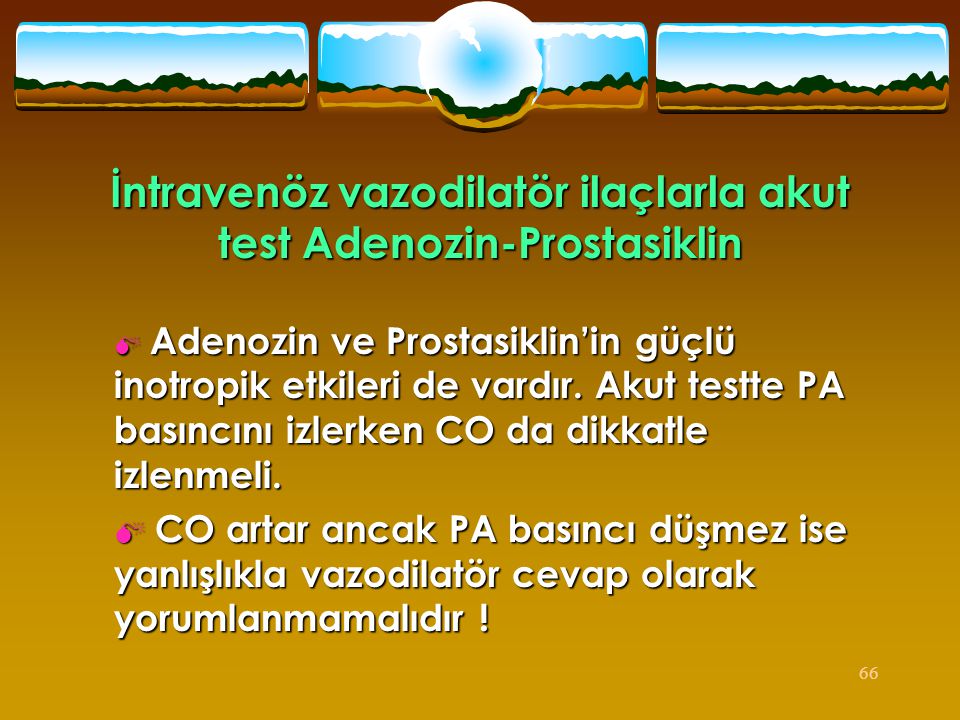 İntravenöz vazodilatör ilaçlarla akut test Adenozin-Prostasiklin