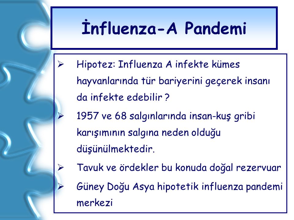 İnfluenza-A Pandemi Hipotez: Influenza A infekte kümes hayvanlarında tür bariyerini geçerek insanı da infekte edebilir