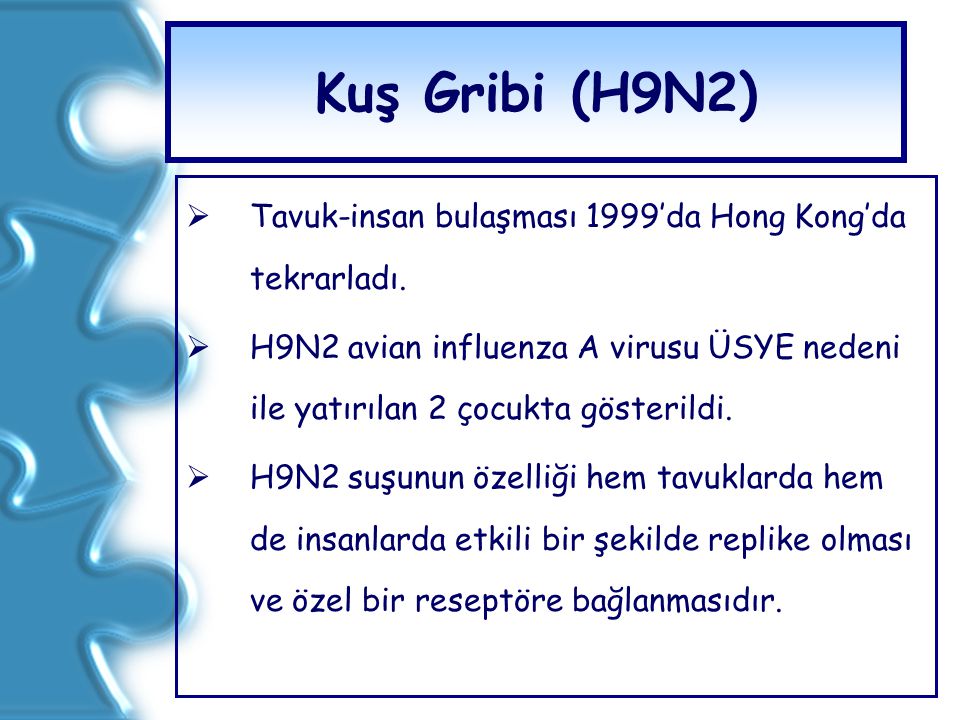 Kuş Gribi (H9N2) Tavuk-insan bulaşması 1999’da Hong Kong’da tekrarladı.