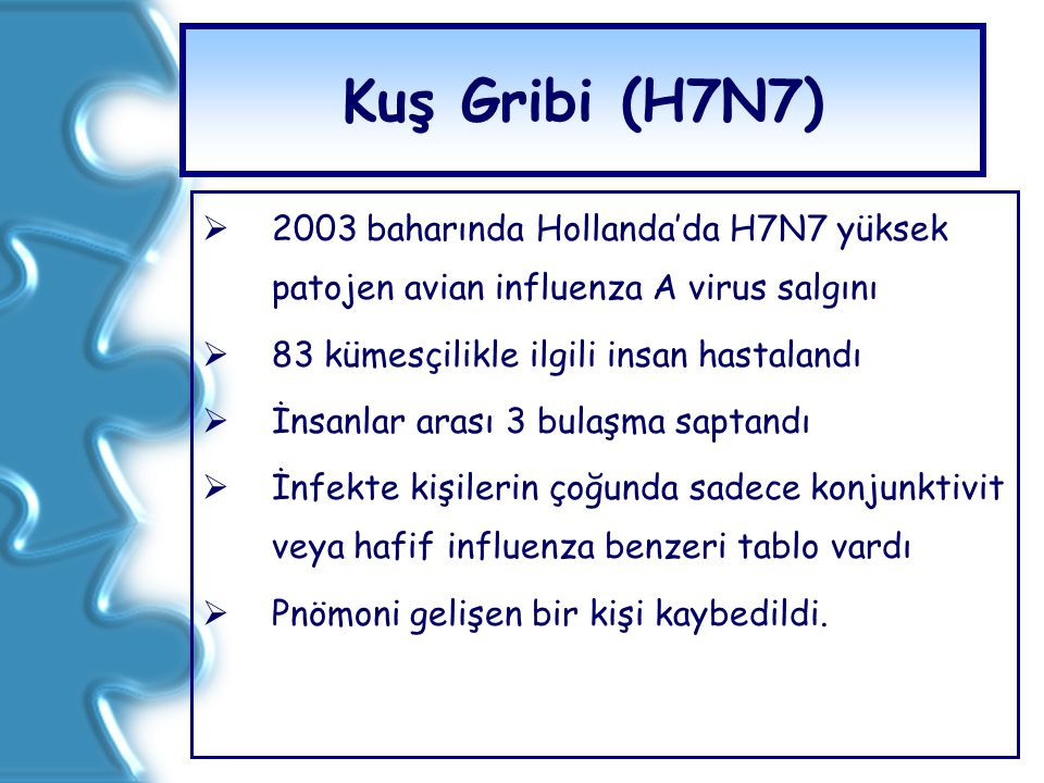 Kuş Gribi (H7N7) 2003 baharında Hollanda’da H7N7 yüksek patojen avian influenza A virus salgını. 83 kümesçilikle ilgili insan hastalandı.