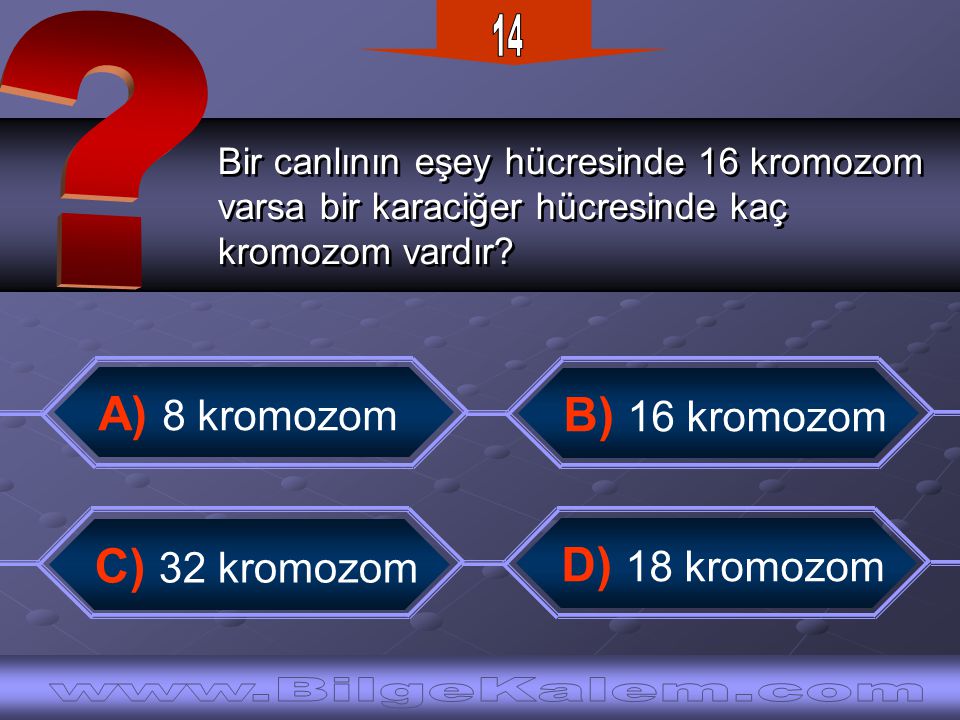 14 A) 8 kromozom B) 16 kromozom