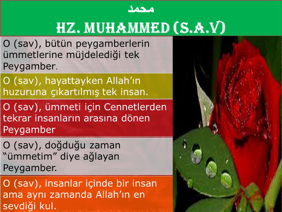 محمد Hz. Muhammed (S.A.V) O (sav), bütün peygamberlerin ümmetlerine müjdelediği tek Peygamber.