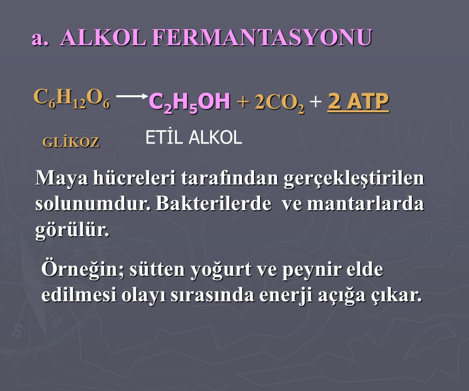 a. ALKOL FERMANTASYONU C6H12O6 GLİKOZ